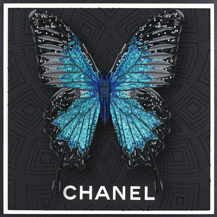 Ulysses Butterfly Framed - Stephen Wilson Studio