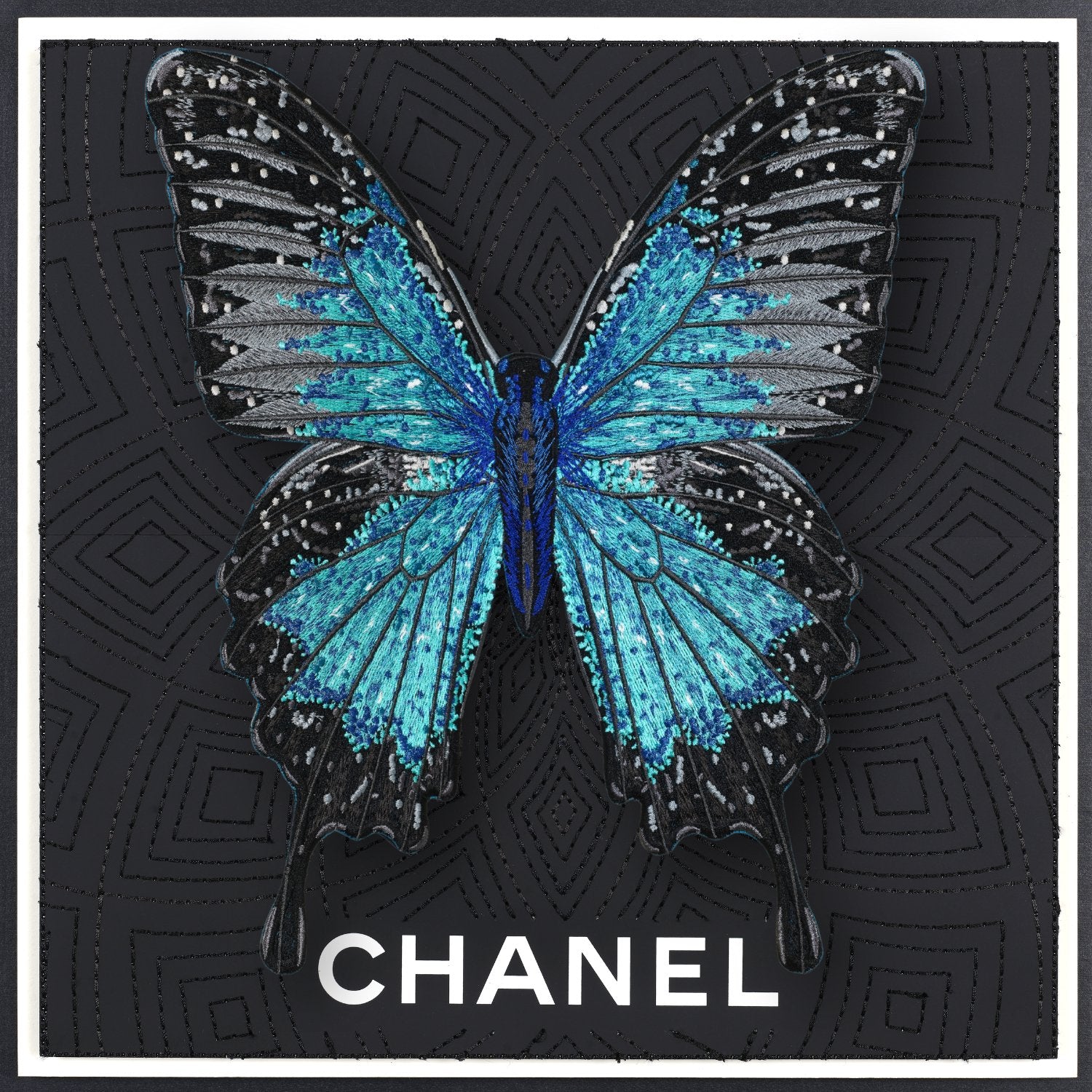 Ulysses Butterfly Framed - Stephen Wilson Studio