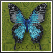 Ulysses Butterfly Framed - Stephen Wilson Studio