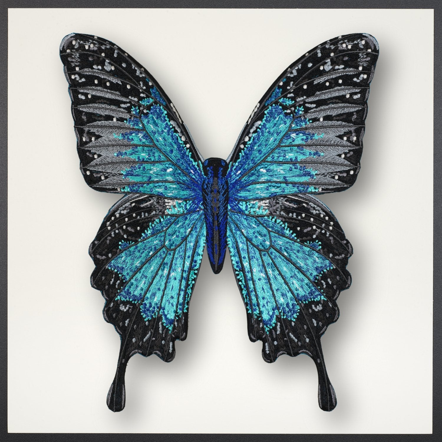 Ulysses Butterfly Framed - Stephen Wilson Studio