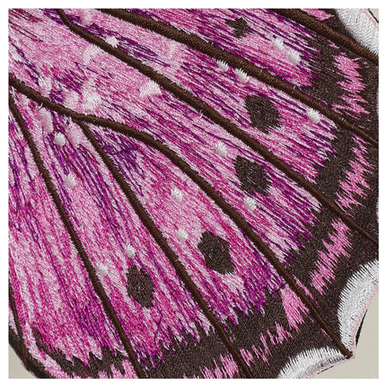 Violet Tip Brushveld Butterfly 6" through 12" - Stephen Wilson Studio
