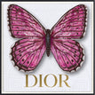 Dior White