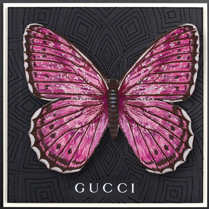 Violet Tip Brushveld ButterflyFramed - Stephen Wilson Studio