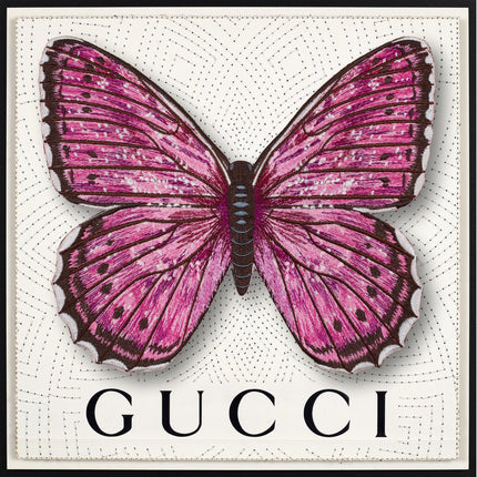 Violet Tip Brushveld ButterflyFramed - Stephen Wilson Studio