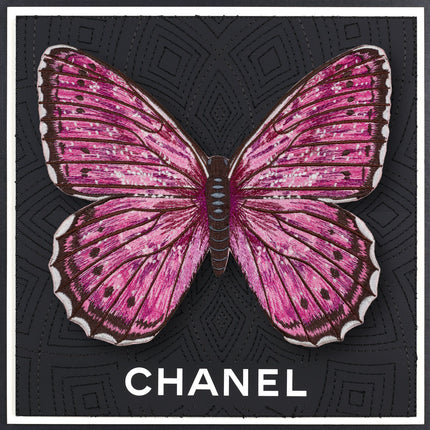 Violet Tip Brushveld ButterflyFramed - Stephen Wilson Studio