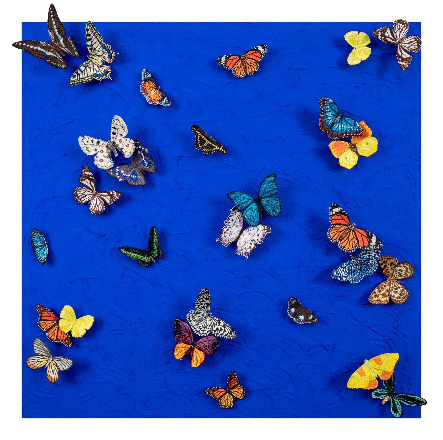 Where We Belong - Stephen Wilson Studio