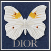 Dior Navy