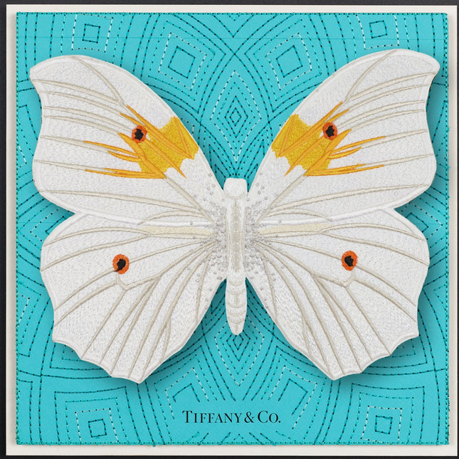 White Angel Butterfly Framed - Stephen Wilson Studio