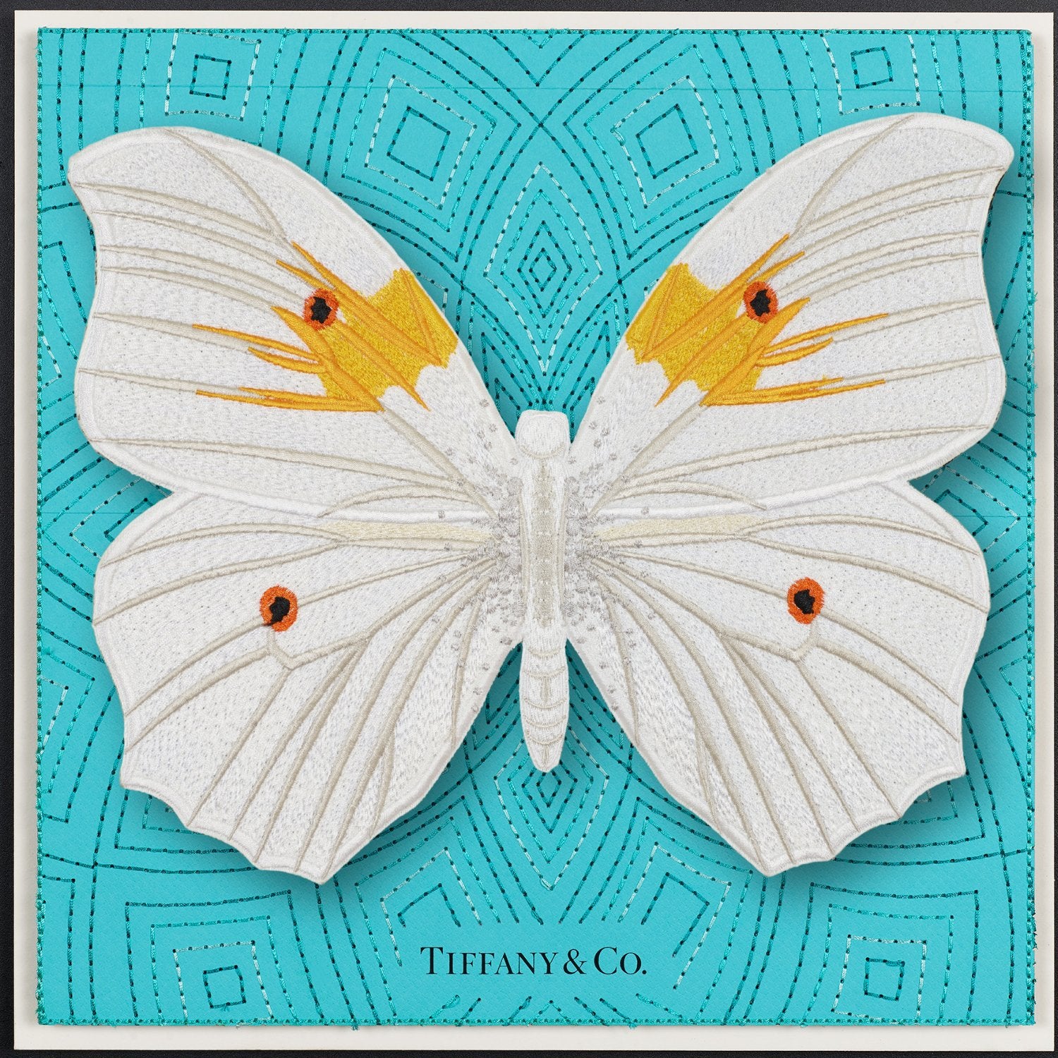 White Angel Butterfly Framed - Stephen Wilson Studio