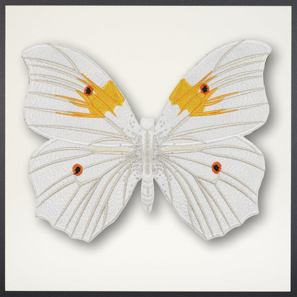 White Angel Butterfly Framed - Stephen Wilson Studio