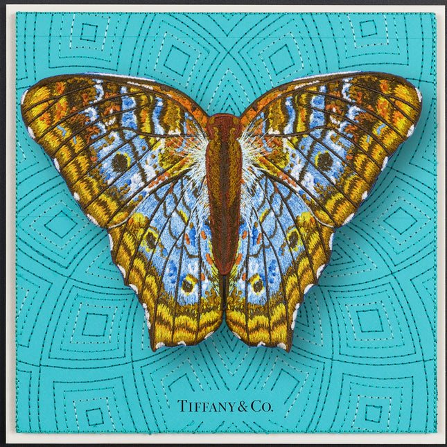 White Peacock Butterfly Framed - Stephen Wilson Studio