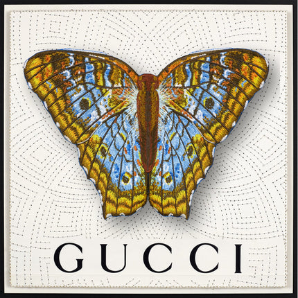 White Peacock Butterfly Framed - Stephen Wilson Studio