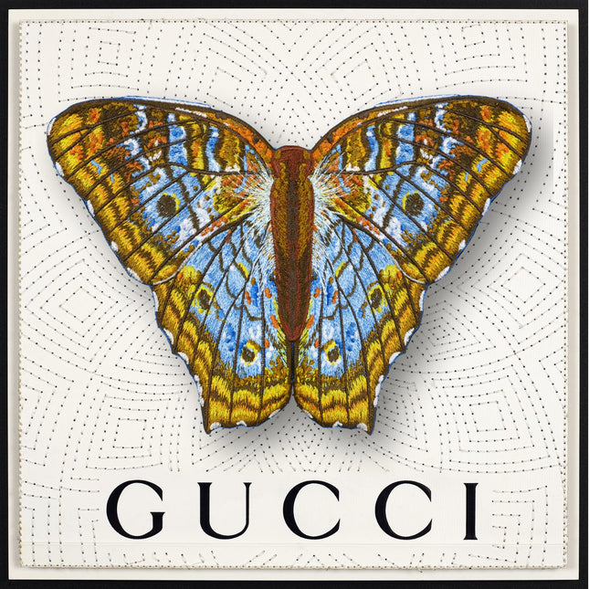 White Peacock Butterfly Framed - Stephen Wilson Studio