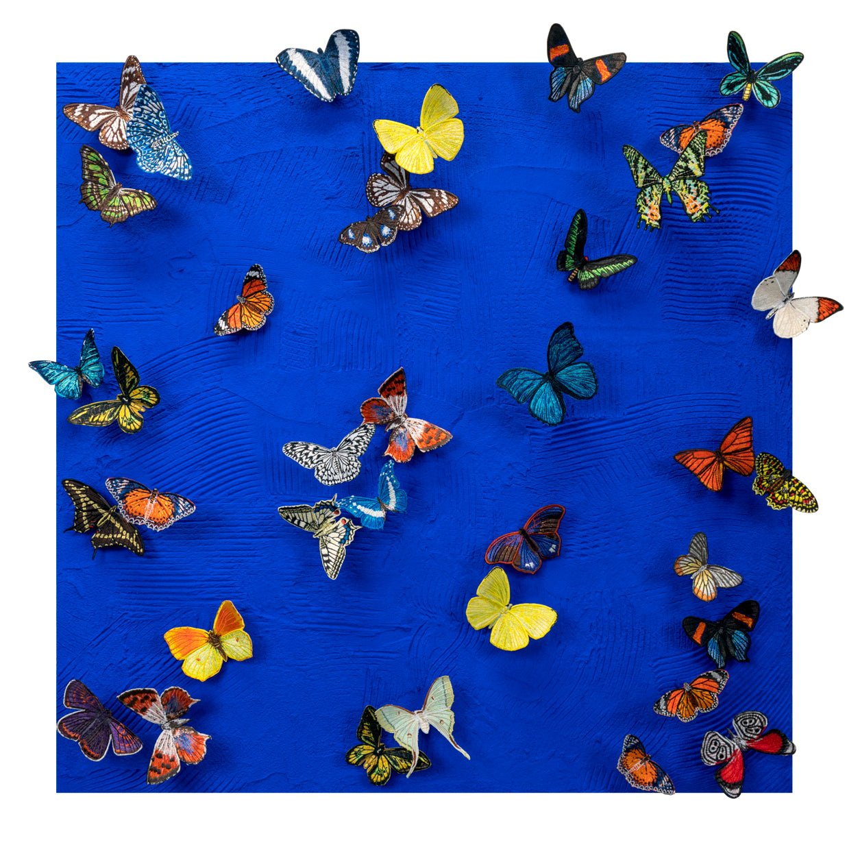 Why Waste Your Breath Staring At The Crowd - Stephen Wilson Studio