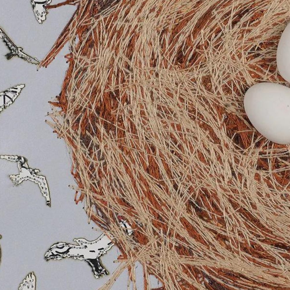 Wilco, A Ghost is Born - Stephen Wilson Studio