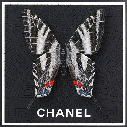 Zebra Swallowtail Butterfly Framed - Stephen Wilson Studio