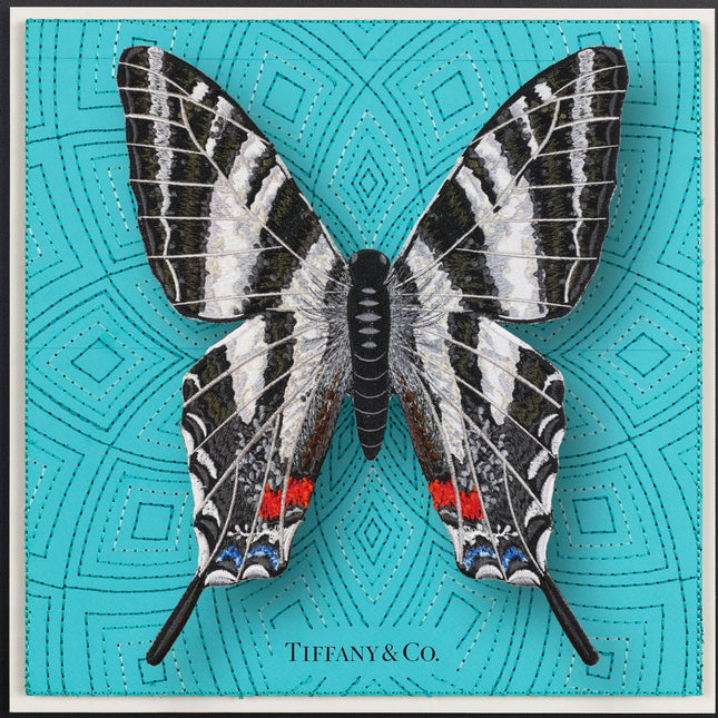 Zebra Swallowtail Butterfly Framed - Stephen Wilson Studio