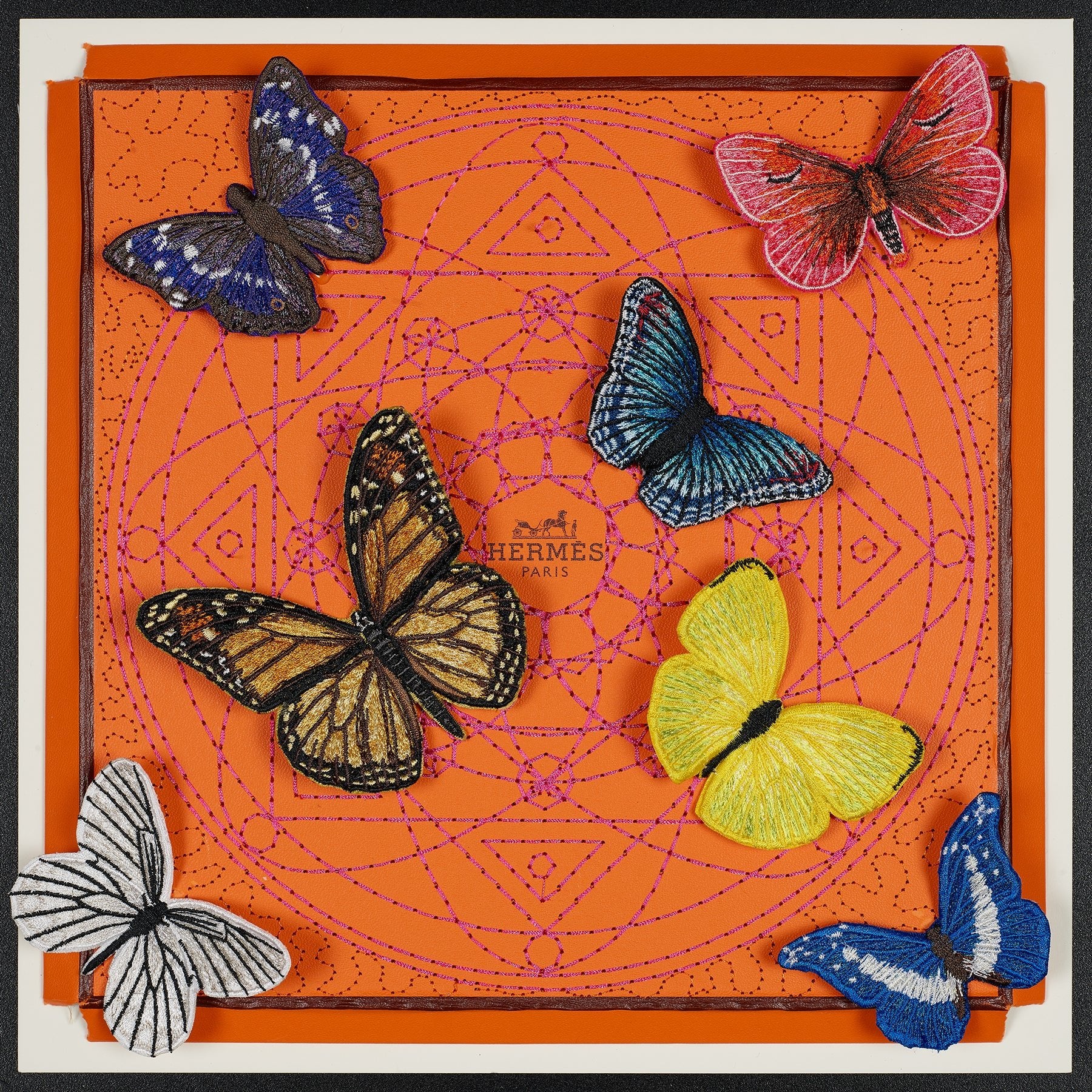 Butterfly Swarm 12