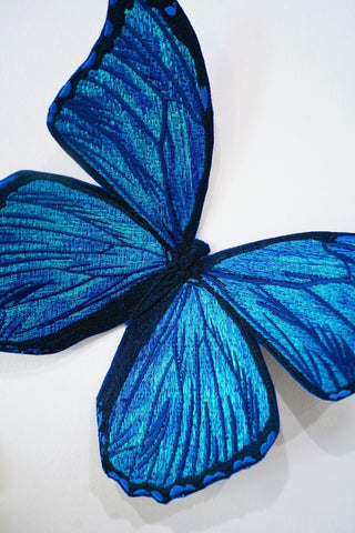 Butterflies – Stephen Wilson Studio