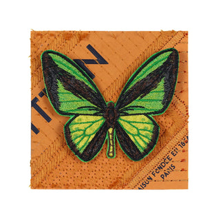 Petite Butterfly Single 5" x 5" - Stephen Wilson Studio