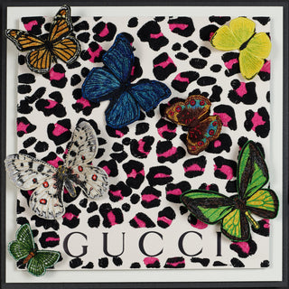 Spotted Flutter 12" x 12" - Stephen Wilson Studio